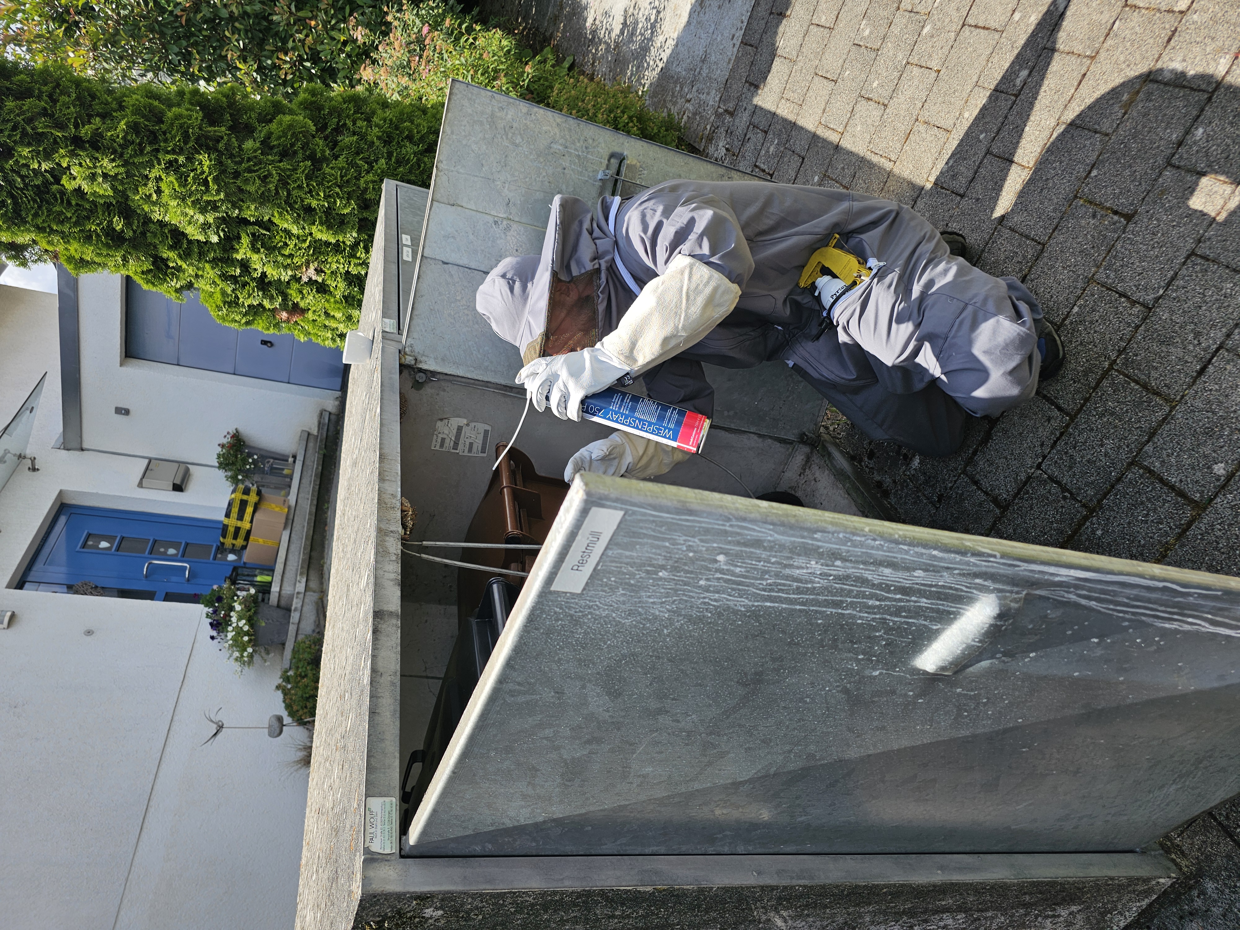 Einsatz: Wespenbekämpfung